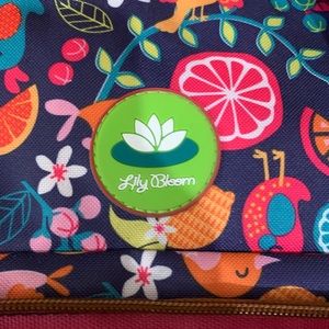 Lily Bloom small carryon.